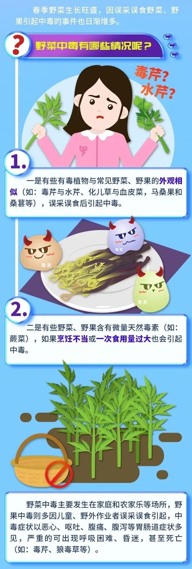 美味却伴风险 有人误食身亡！这些植物有毒 小心误采误食-2.jpg
