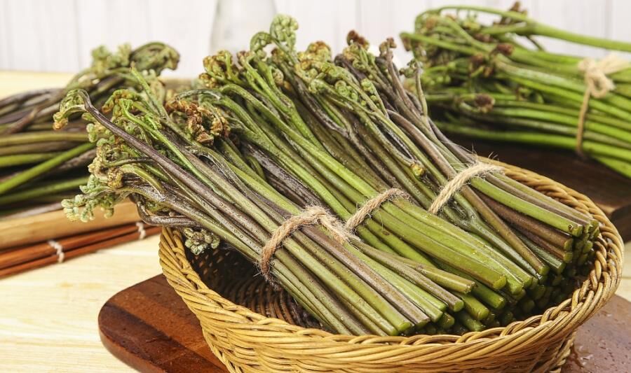 美味却伴风险 有人误食身亡！这些植物有毒 小心误采误食-6.jpg