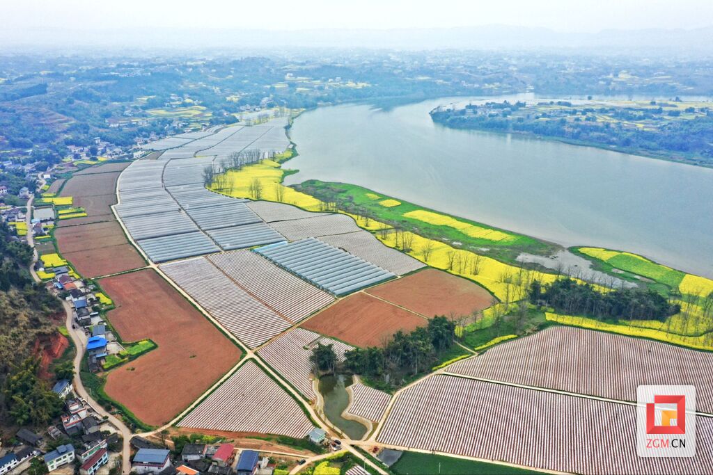 富顺县顺河村：喜丰收忙育苗 奏响蔬菜“春天交响曲”-2.jpg