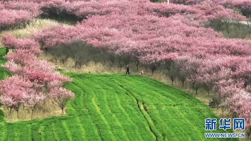 早安！自贡观察带您观天下（2024年3月19日）-11.jpg