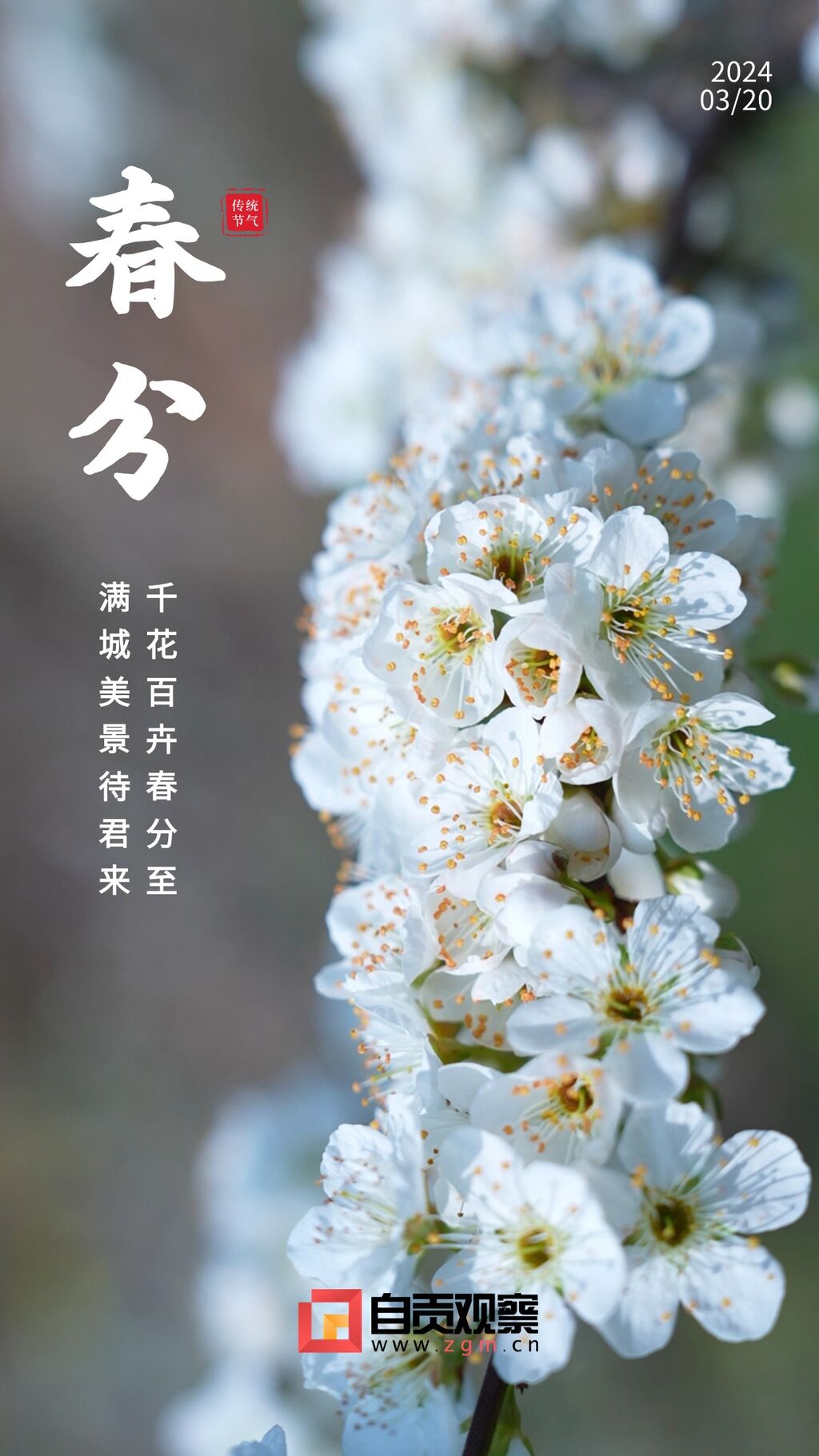 海报 | 满川花柳斗春分 城日初高艳绮云-2.jpg