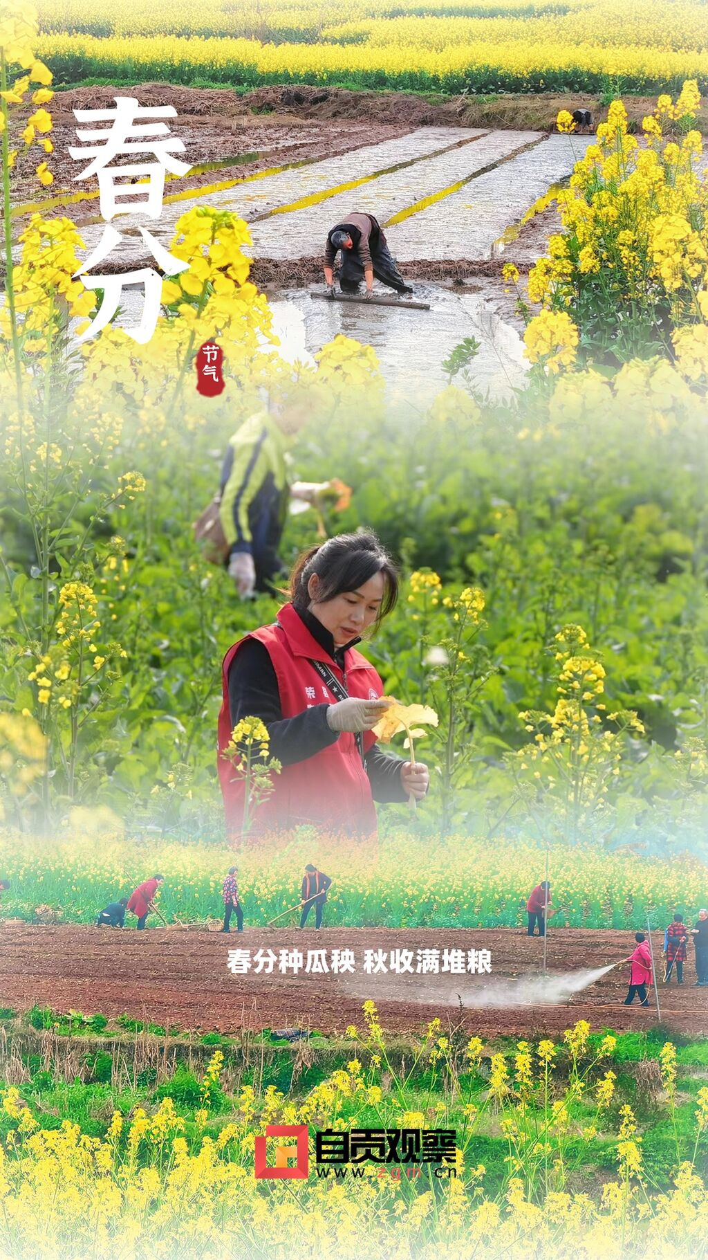 海报 | 满川花柳斗春分 城日初高艳绮云-3.jpg