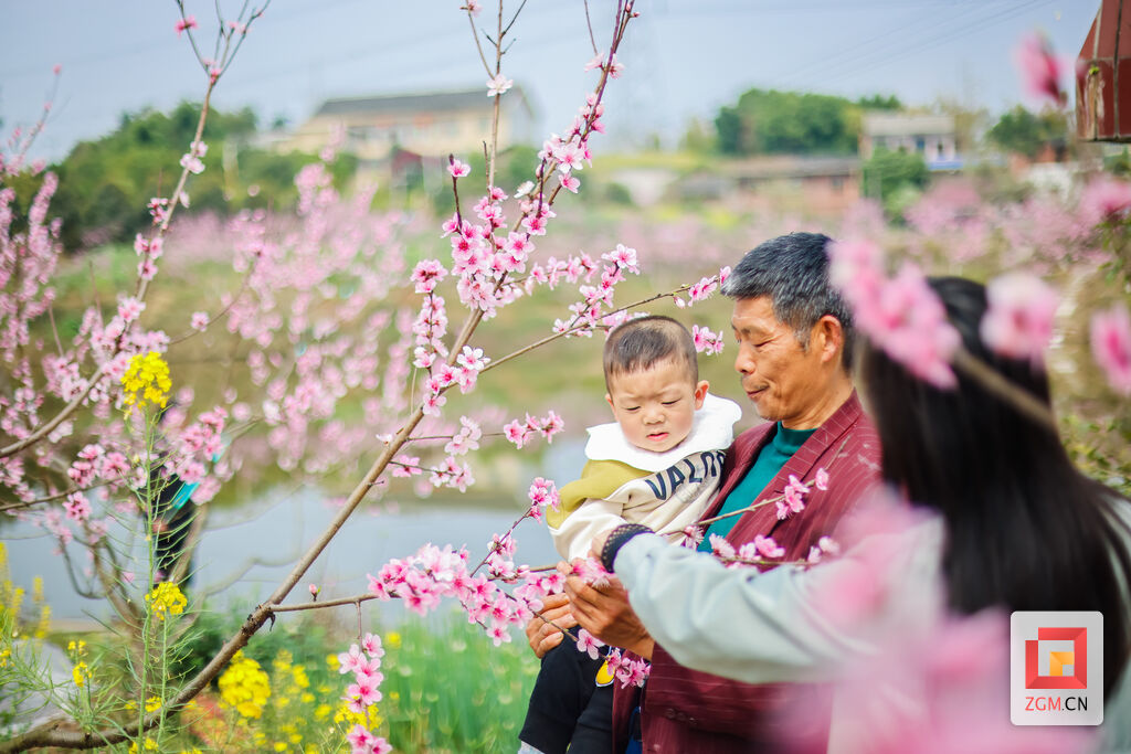 图片新闻 赏花正当时：飞来寺桃林繁花似锦-3.jpg