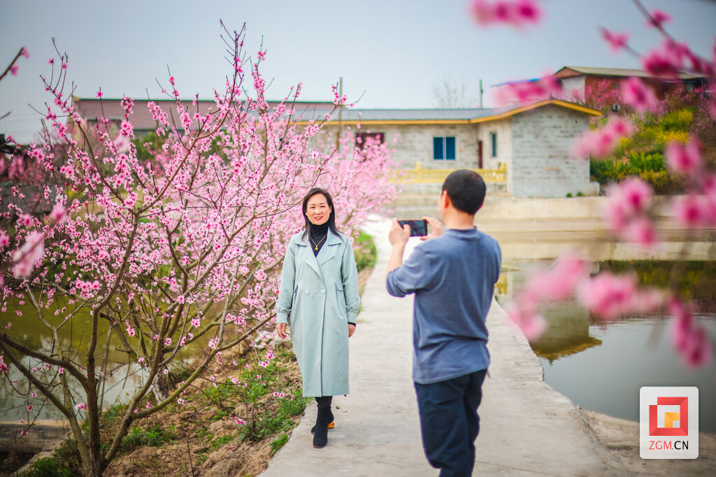 图片新闻 赏花正当时：飞来寺桃林繁花似锦-6.jpg