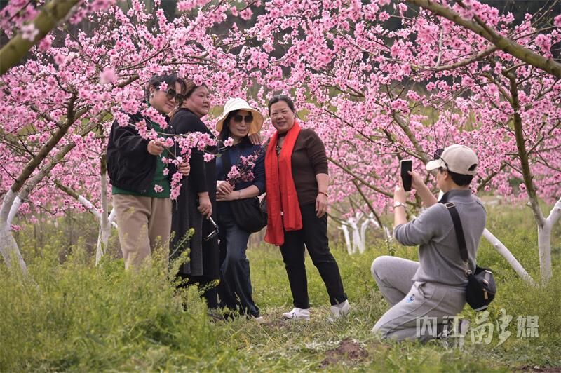 桃花朵朵开！来内江这里享春光——-3.jpg