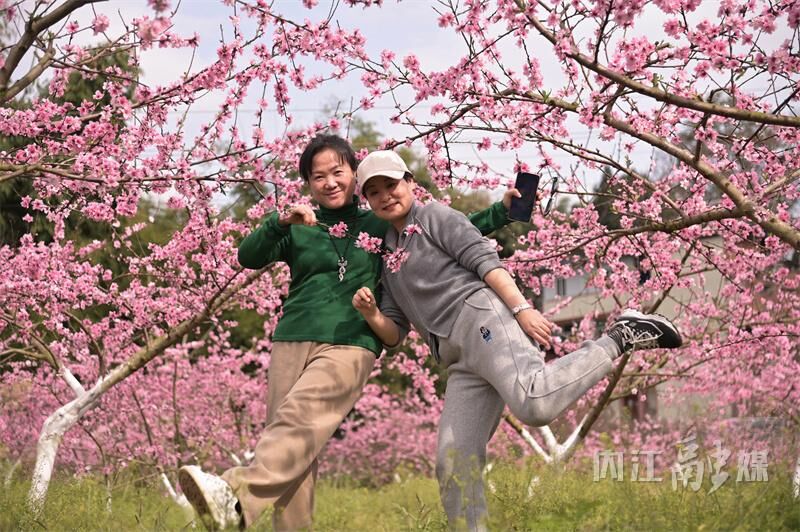 桃花朵朵开！来内江这里享春光——-7.jpg