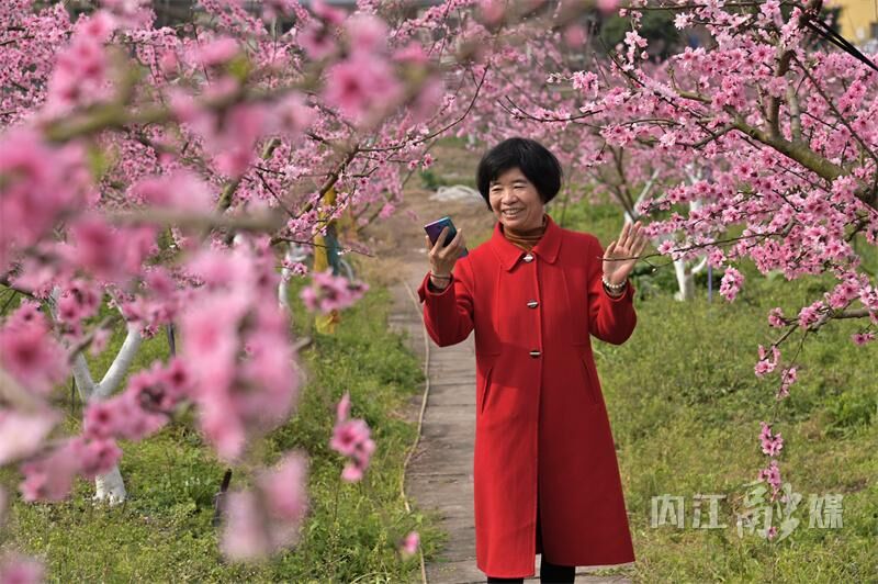 桃花朵朵开！来内江这里享春光——-11.jpg