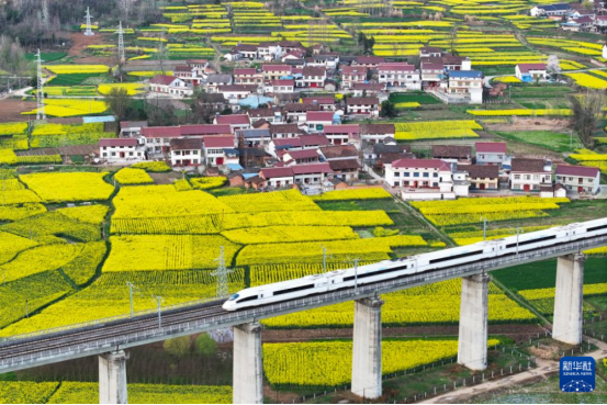 早安！自贡观察带您观天下（2024年3月23日）-14.png