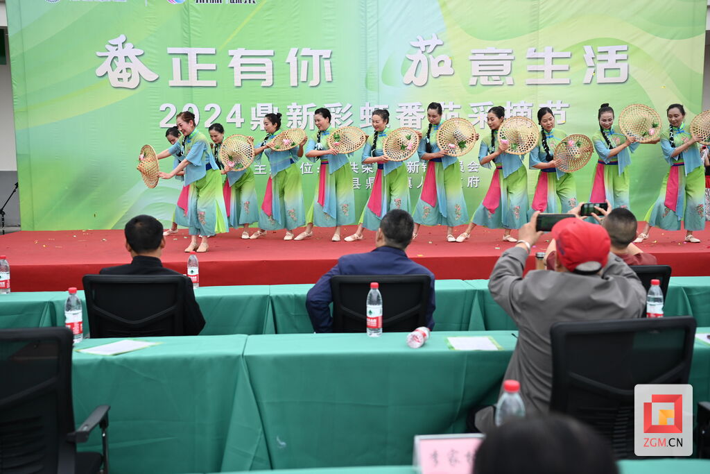 吃掉“彩虹”！荣县鼎新镇彩虹番茄采摘节启动-1.jpg