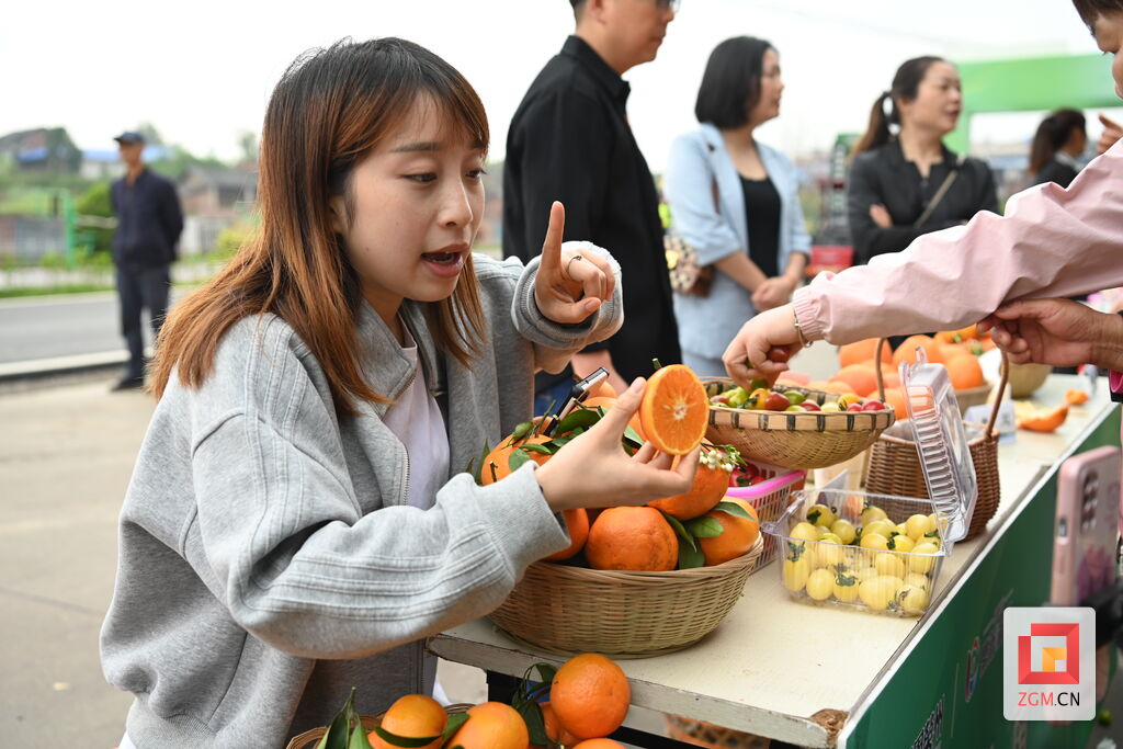 吃掉“彩虹”！荣县鼎新镇彩虹番茄采摘节启动-7.jpg