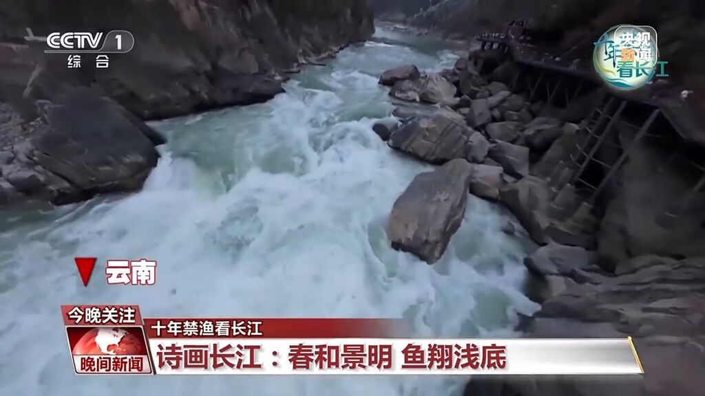 长江鱼类野外种群恢复如何？还需要持续禁渔吗？-1.jpg