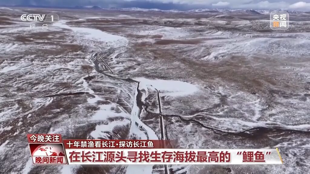 长江鱼类野外种群恢复如何？还需要持续禁渔吗？-5.jpg