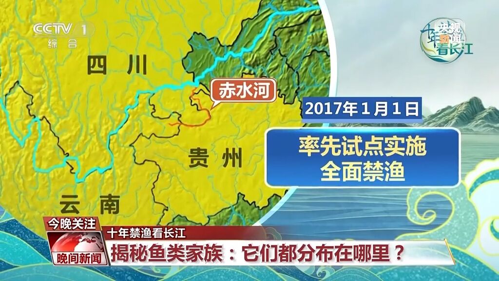 长江鱼类野外种群恢复如何？还需要持续禁渔吗？-4.jpg