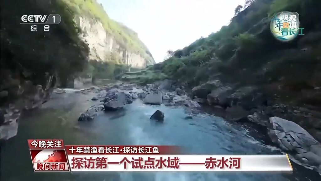长江鱼类野外种群恢复如何？还需要持续禁渔吗？-8.jpg