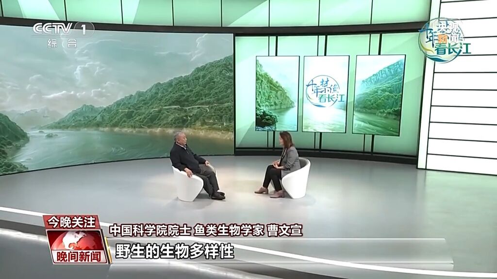 长江鱼类野外种群恢复如何？还需要持续禁渔吗？-10.jpg