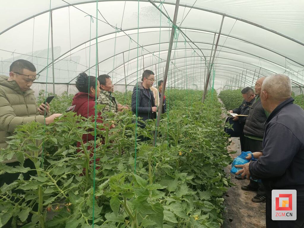 立案查处违法行为12起！自贡市开展食用农产品质量安全提升行动-2.jpg