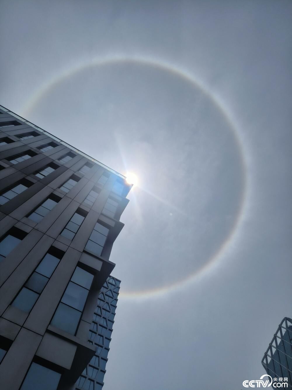广东多地出现“日晕”景观-3.jpg