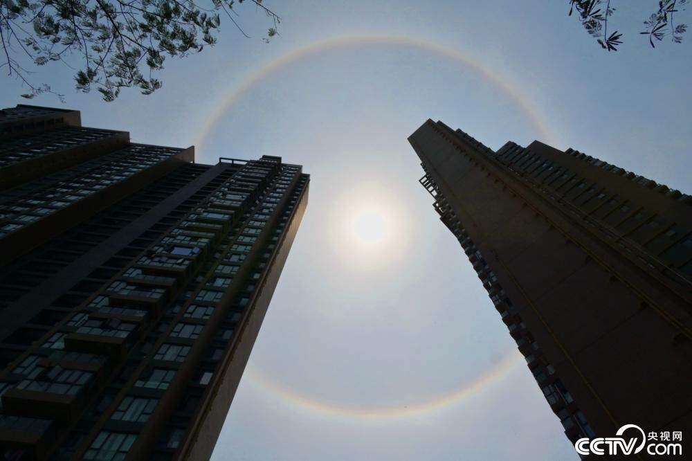 广东多地出现“日晕”景观-4.jpg
