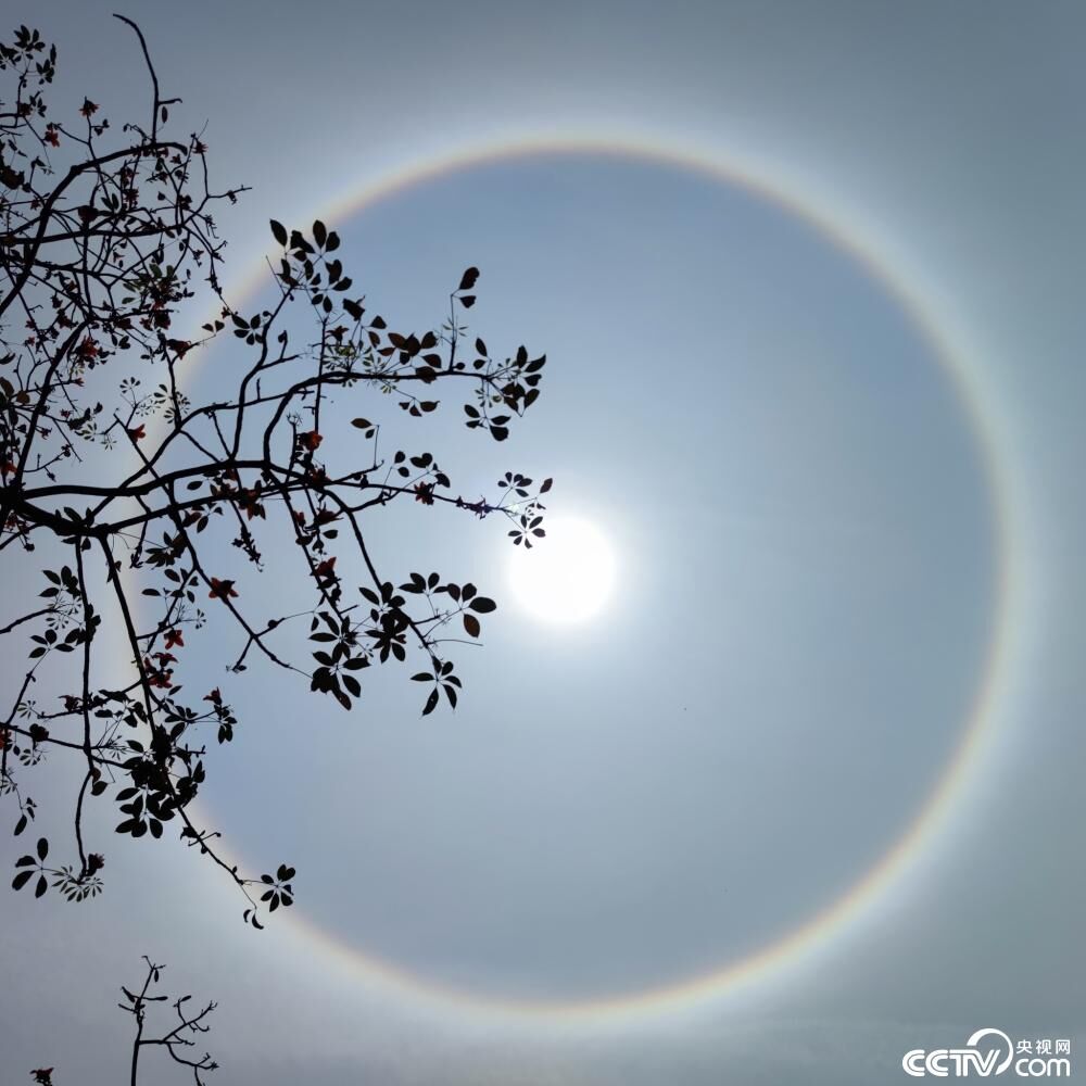 广东多地出现“日晕”景观-1.jpg