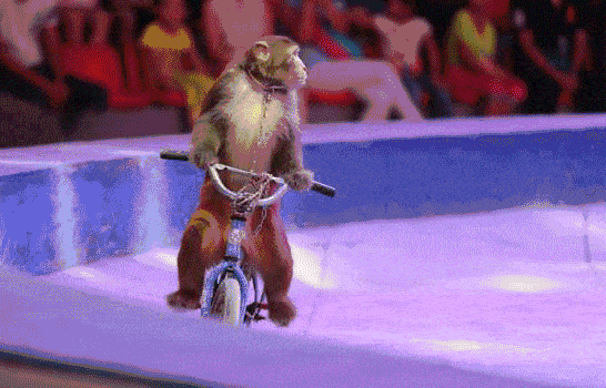 ccaad371c480cce58581c1931c3d372c.gif