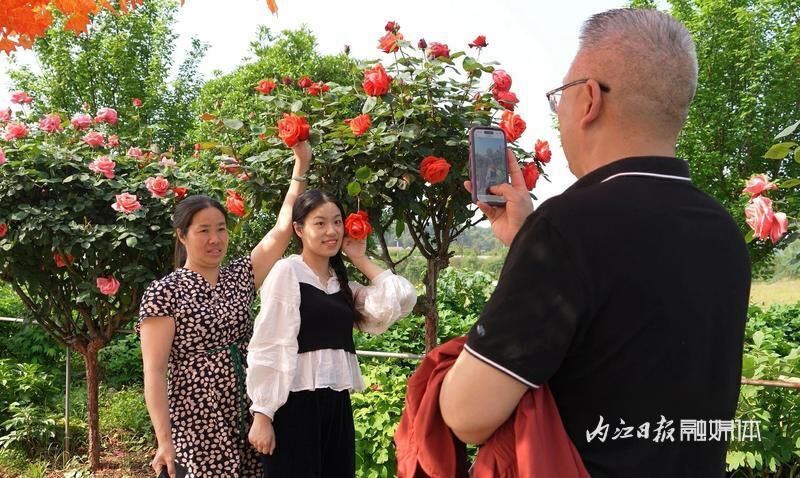 开园啦！东兴区长江田园500余亩玫瑰花海等你来赏-6.jpg