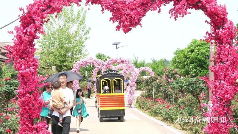 开园啦！东兴区长江田园500余亩玫瑰花海等你来赏-5.jpg