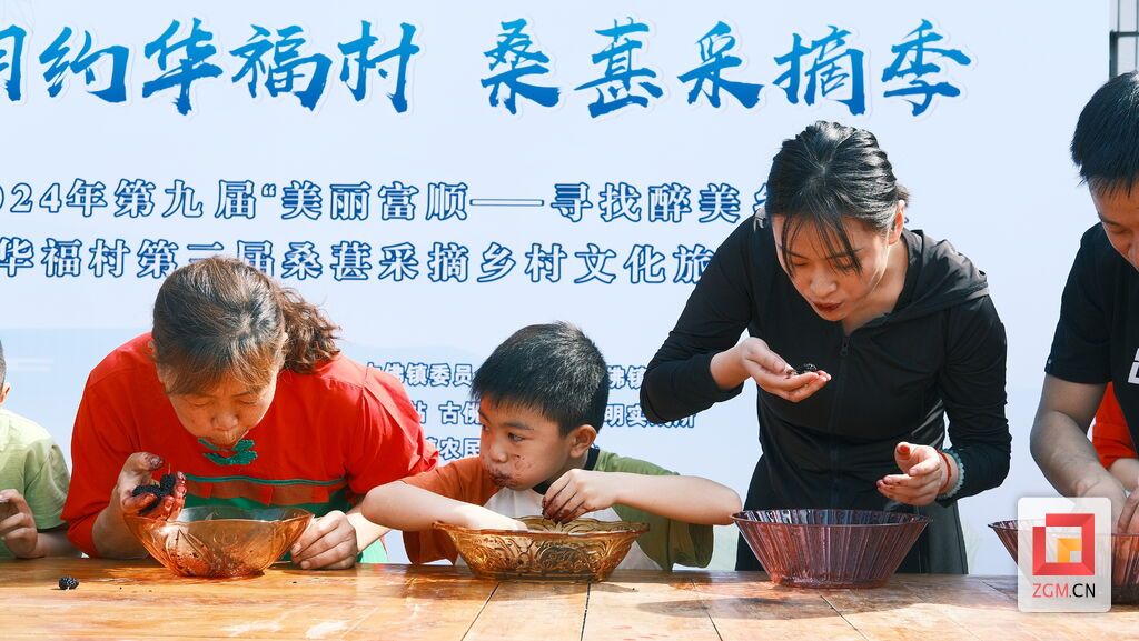 【自贡果蔬派⑥】古佛镇桑葚采摘节开幕 邀请你来摘“桑泡儿”-1.jpg