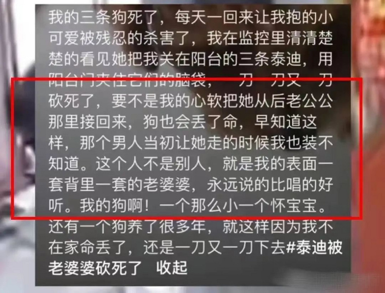 婆婆连杀儿媳3只宠物狗，其中一只已怀孕，原因只是因为……-1.jpg