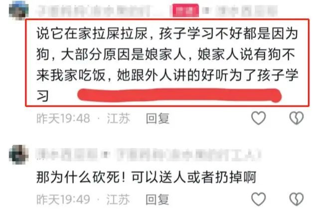 婆婆连杀儿媳3只宠物狗，其中一只已怀孕，原因只是因为……-4.jpg