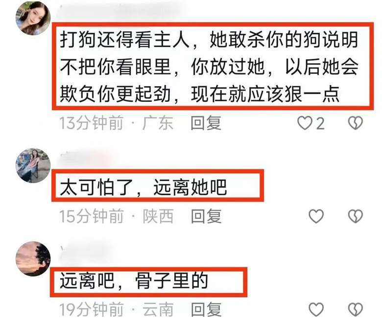 婆婆连杀儿媳3只宠物狗，其中一只已怀孕，原因只是因为……-9.jpg