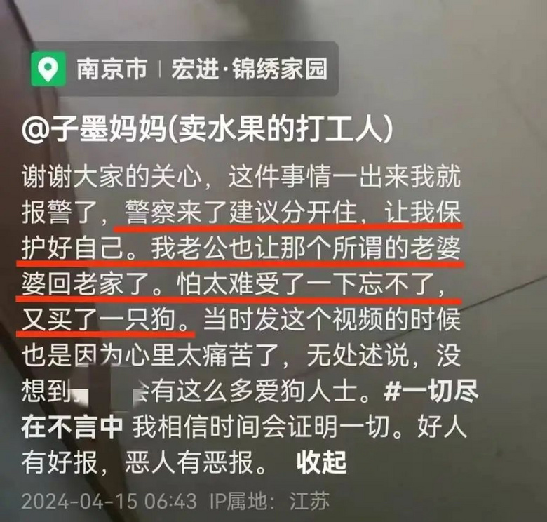 婆婆连杀儿媳3只宠物狗，其中一只已怀孕，原因只是因为……-11.jpg