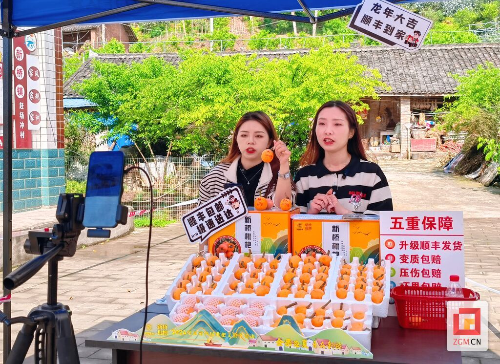 荣县第四届枇杷文旅季活动启幕-2.jpg