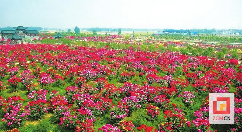 “五一”假期，去沿滩寻觅“诗和远方”-7.jpg