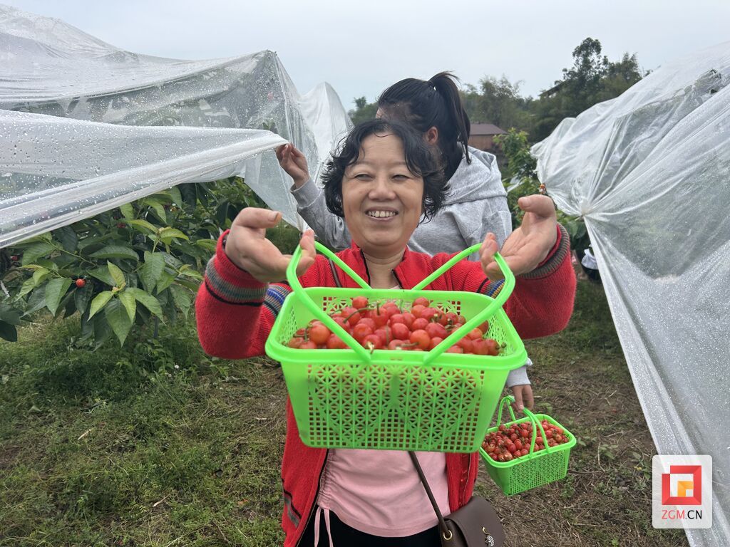 【自贡果蔬派⑦】樱桃红了 “春日限定”待君采摘——-2.jpg