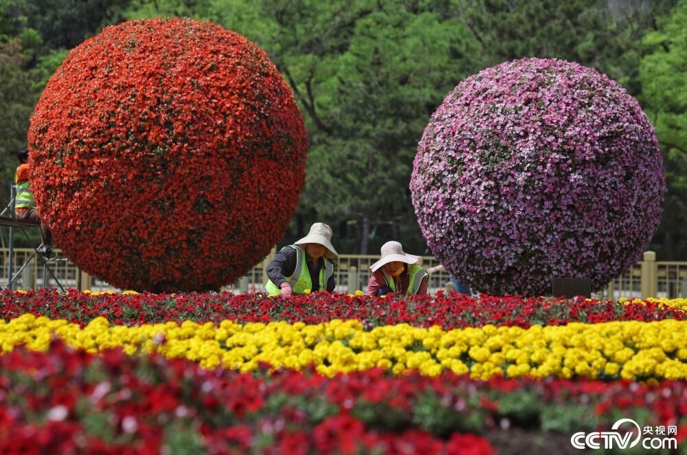 天安门广场布置花坛迎“五一”-2.jpg