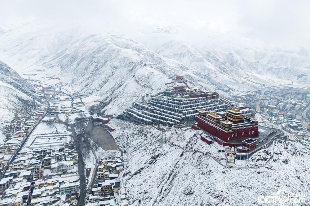 青海玉树四月飞雪-1.jpg