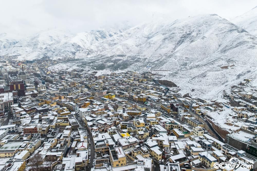 青海玉树四月飞雪-3.jpg