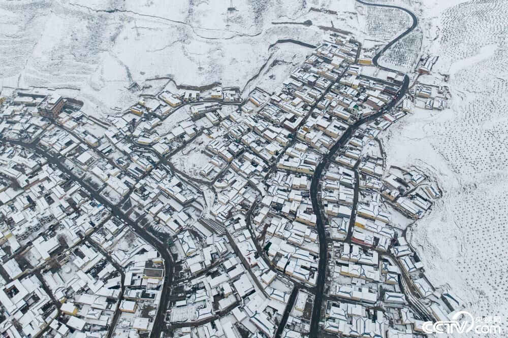 青海玉树四月飞雪-2.jpg