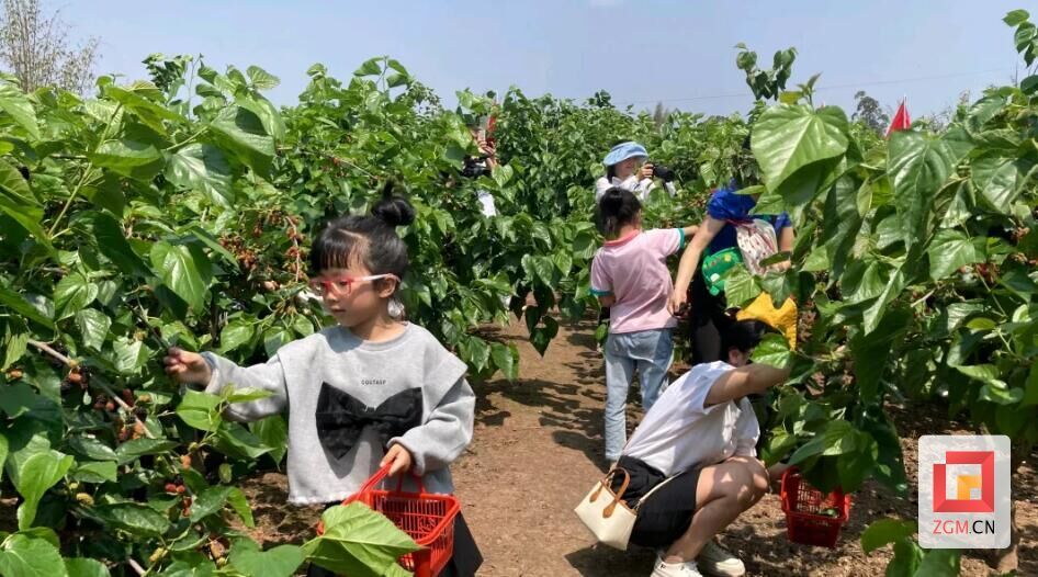 “五一”假期倒计时！富顺耍处非常多，速戳了解详情——-9.jpg