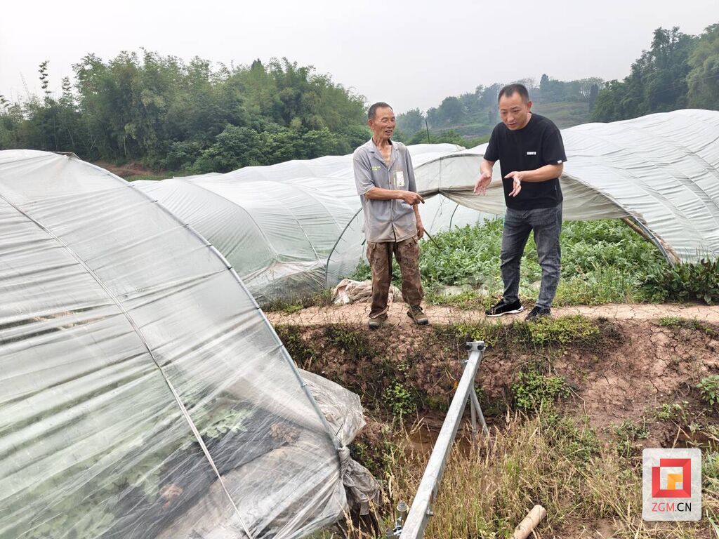 @自贡人 又到吃瓜季 九洪西瓜“甜蜜”上市-1.jpg