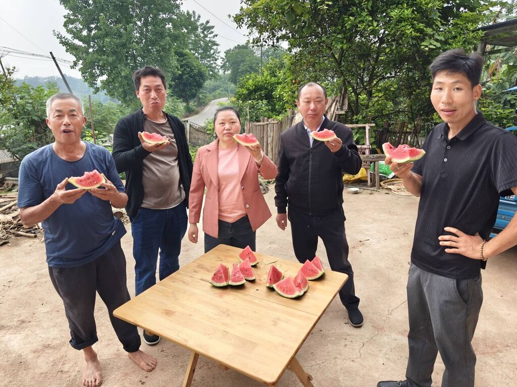 @自贡人 又到吃瓜季 九洪西瓜“甜蜜”上市-2.jpg