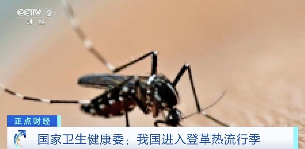 5月起，我国进入登革热流行季！登革热如何传播？一文解读→-2.jpg