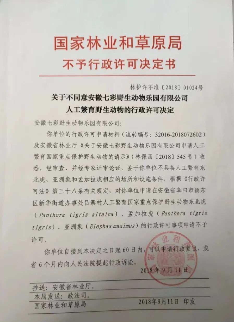 20只东北虎非正常死亡！阜阳野生动物园停业整顿-3.jpg