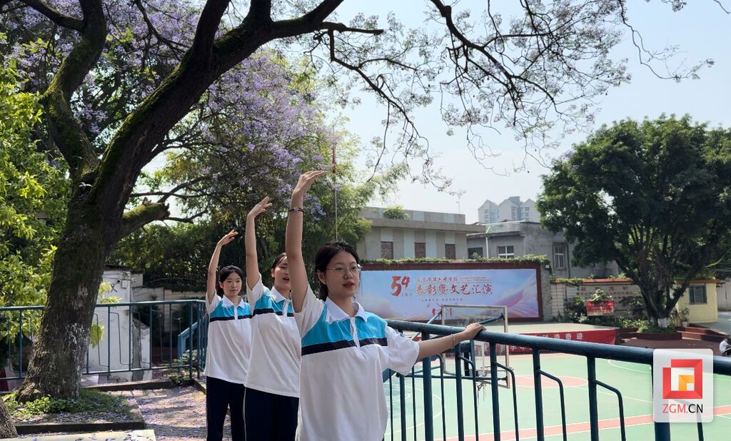 自贡市第六中学：蓝花楹盛开 美育之花绽放-8.jpg