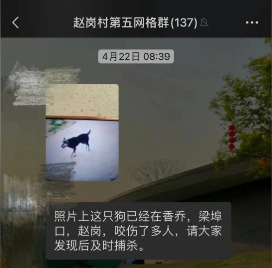 3岁男童被狗咬伤18天后离世，狗仍去向不明？当地回应橙柿：警方已提级调查-8.jpg