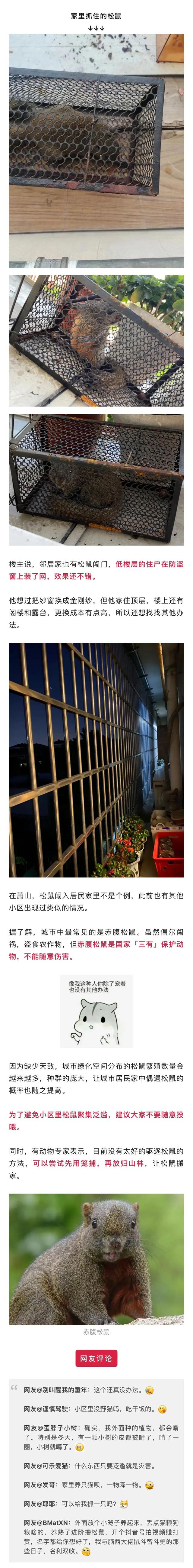 杭州一小区“小可爱”泛滥成灾害！业主都怕了：多次闯入我家，根本抓不完-4.jpg