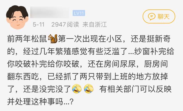 杭州一小区“小可爱”泛滥成灾害！业主都怕了：多次闯入我家，根本抓不完-1.jpg