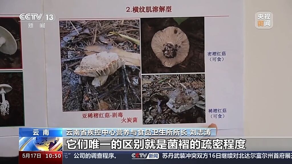 又到食菌季了！“防中毒”指南了解一下-1.jpg