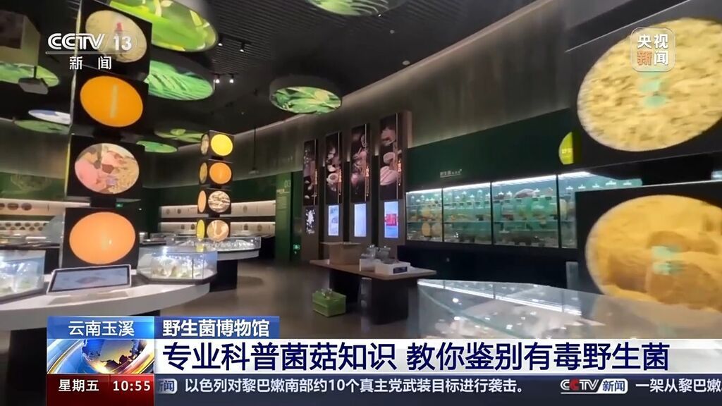 又到食菌季了！“防中毒”指南了解一下-5.jpg