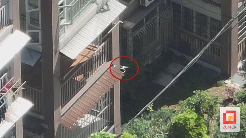 自贡首例！富顺公安查处一起“黑飞”案件-1.jpg